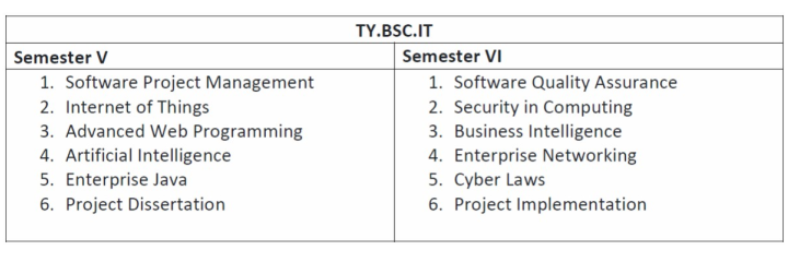 Third Year